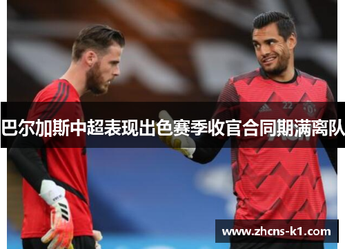 巴尔加斯中超表现出色赛季收官合同期满离队 巴尔加斯中超表现出色赛季收官合同期满离队